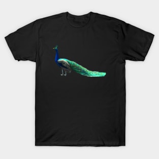 Peacock T-Shirt